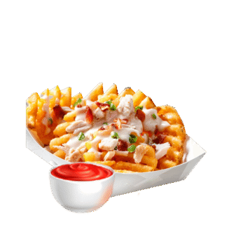 Loaded Chicken fries